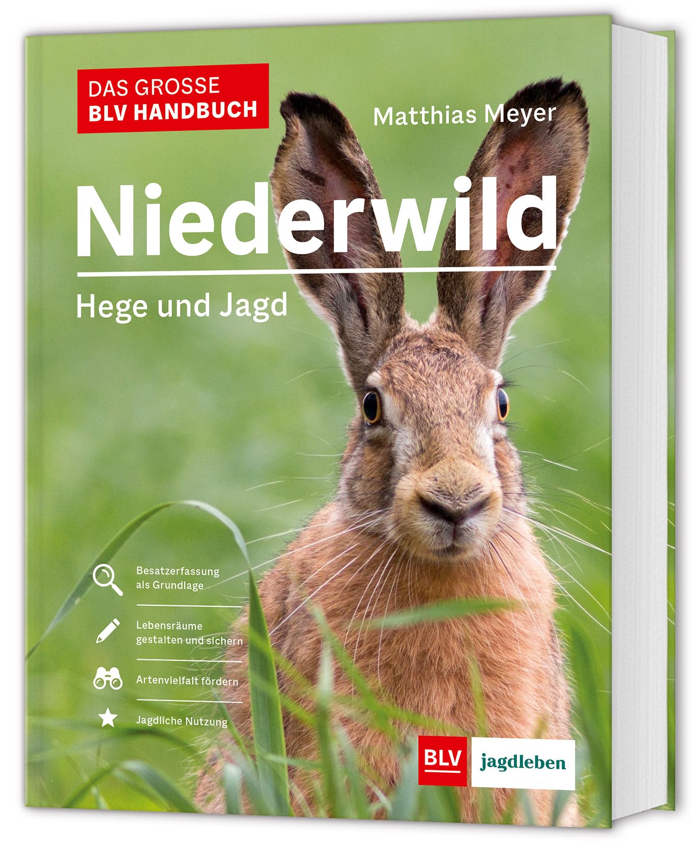 Das große BLV Handbuch Niederwild: Hege und Jagd (BLV Jagdpraxis) Leisure, Home & Garden