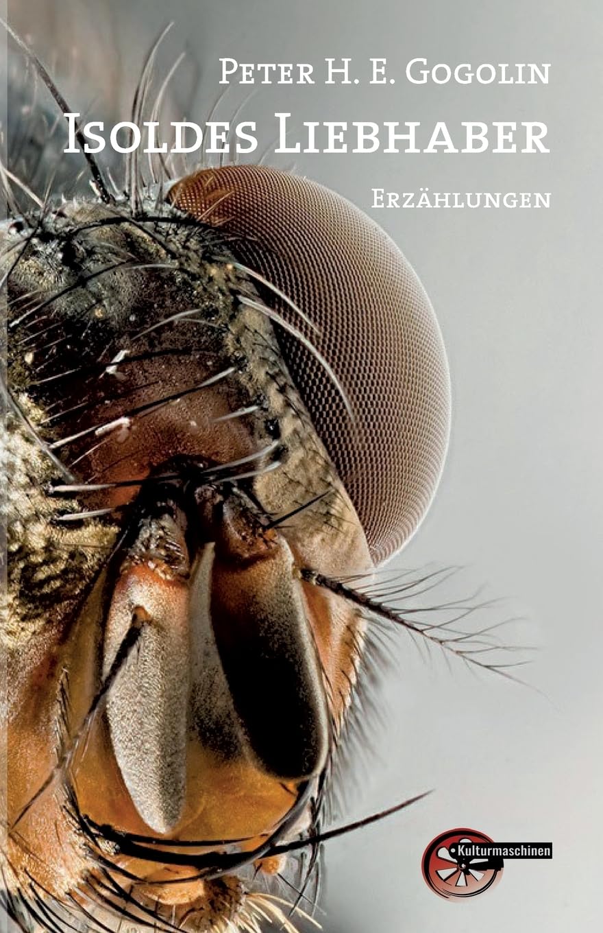 Isoldes Liebhaber: Erzählungen Contemporary literature