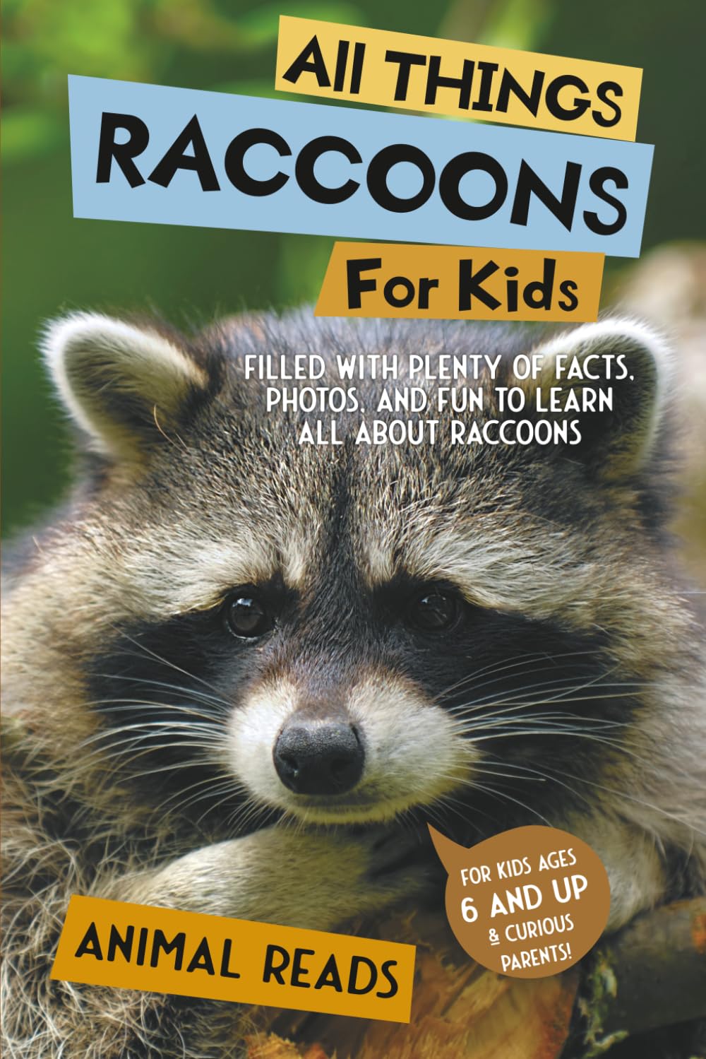All Things Raccoons For Kids Parents & Children