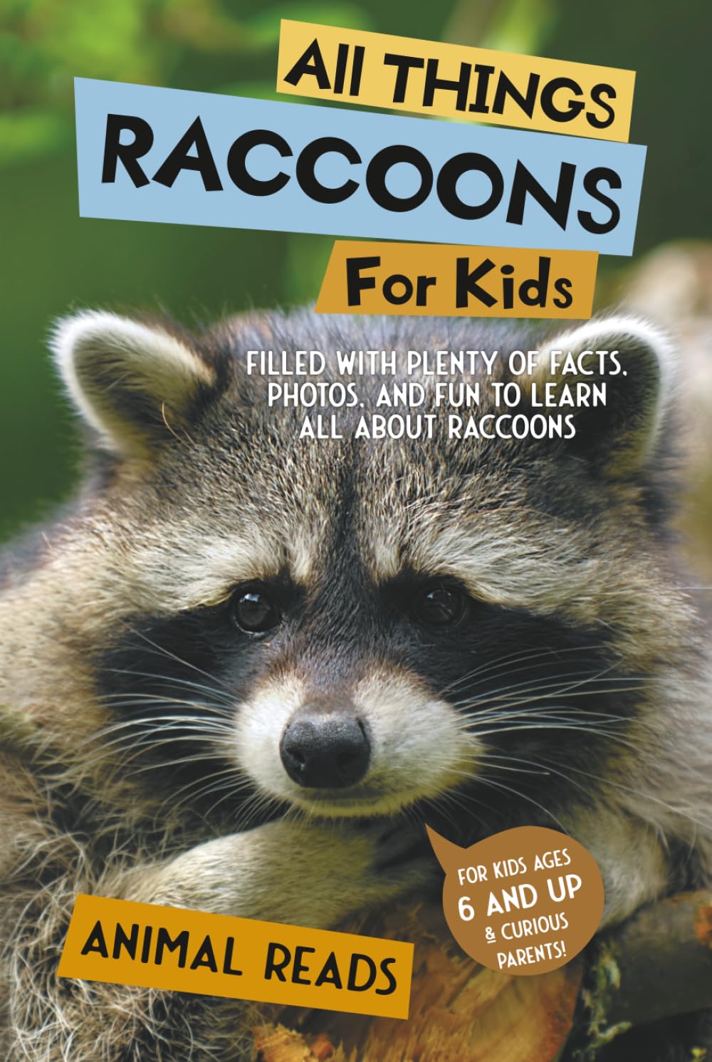 All Things Raccoons For Kids Parents & Children