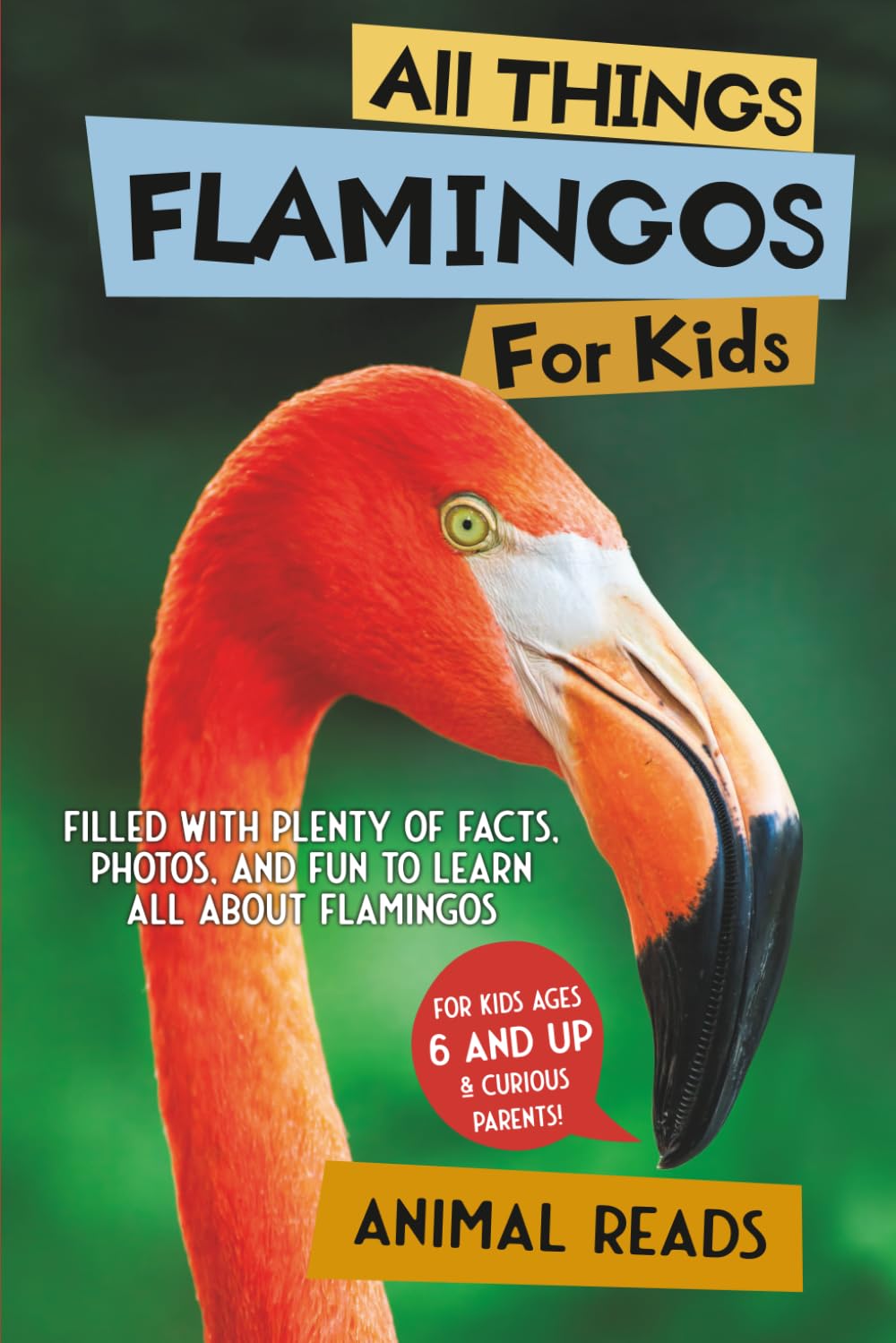All Things Flamingos For Kids Non-fiction