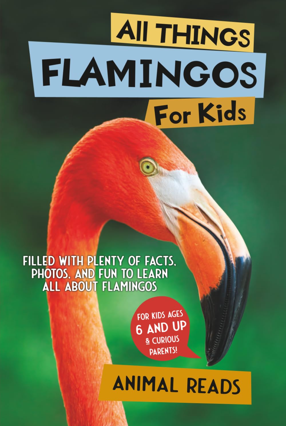 All Things Flamingos For Kids Non-fiction