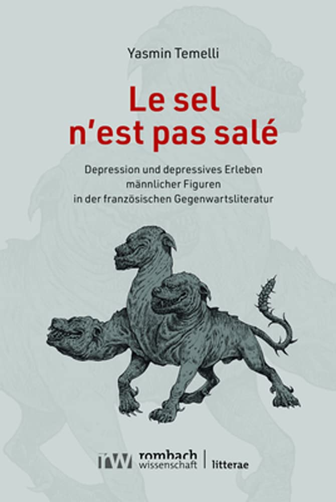 Le sel n’est pas salé: Depression und depressives Erleben männlicher Figuren in der französischen Gegenwartsliteratur (Litterae) Books