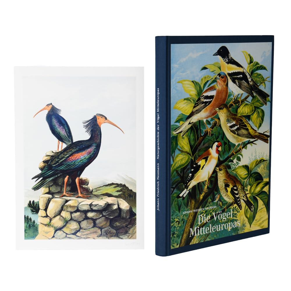 Vorzugsausgabe: Johann Friedrich Naumann – Die Vögel Mitteleuropas: Naturgeschichte der Vögel. Vorzugsausgabe mit Fine Art Print "Waldrapp" Film, Art & Culture