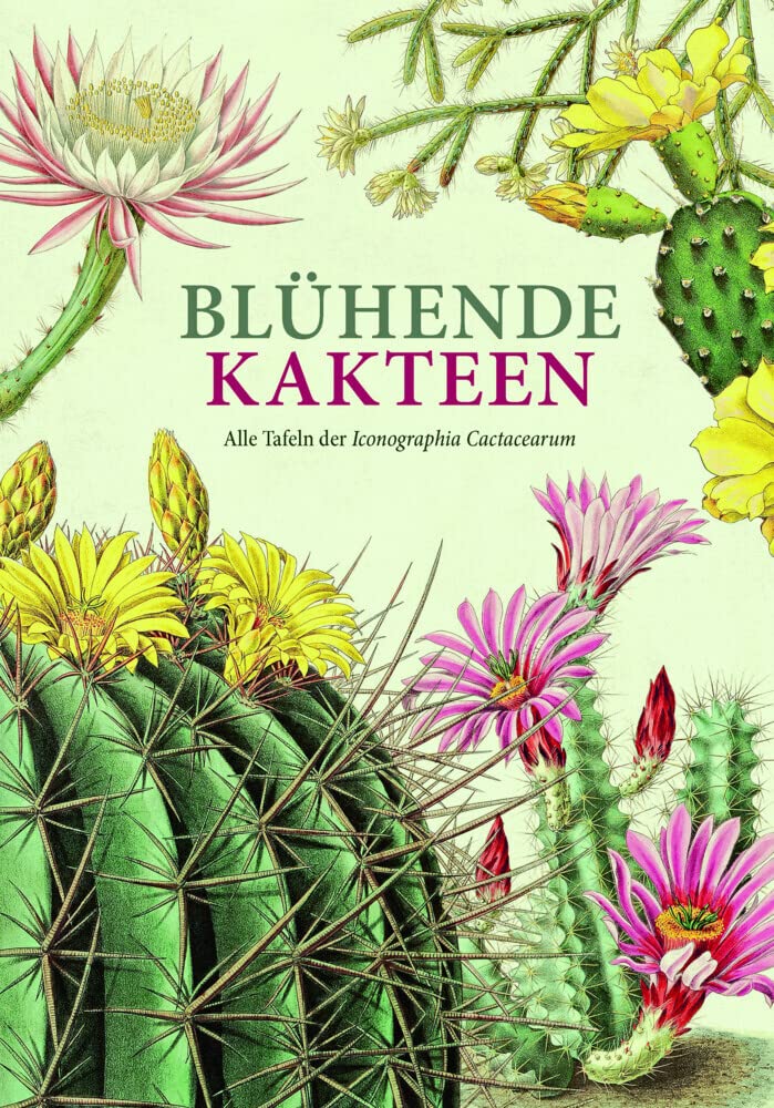 Blühende Kakteen: Alle Tafeln der Iconographia Cactacearum. Neu editiert. Film, Art & Culture
