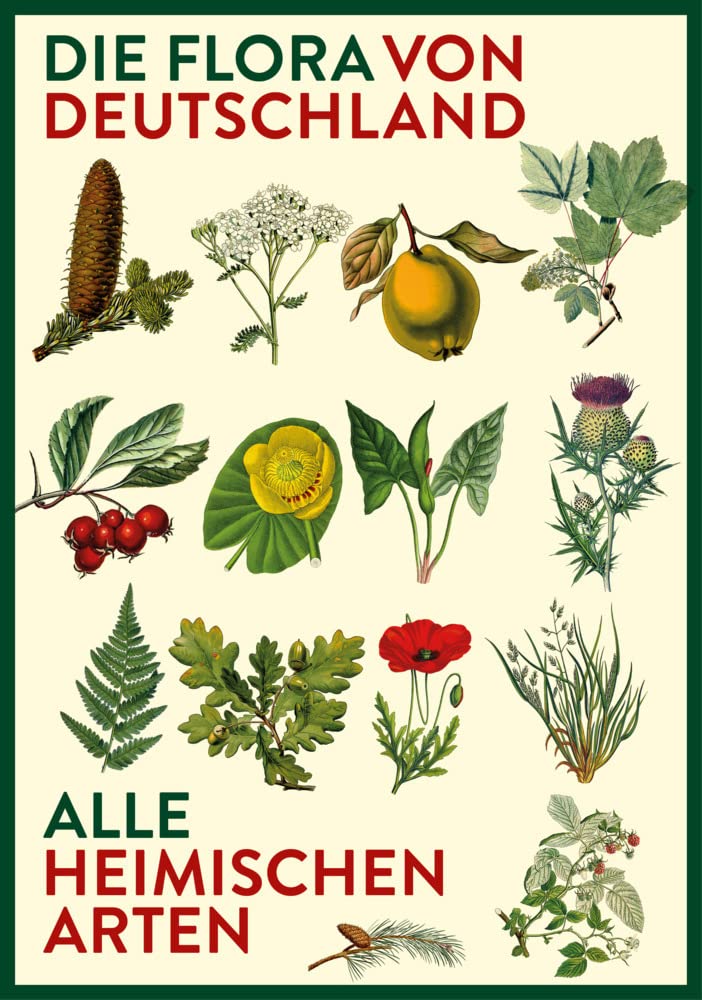 Vorzugsausgabe: Die Flora von Deutschland. Alle heimischen Arten: Über 2.500 Pflanzen. Mit Bestimmungsschlüssel. Leisure, Home & Garden
