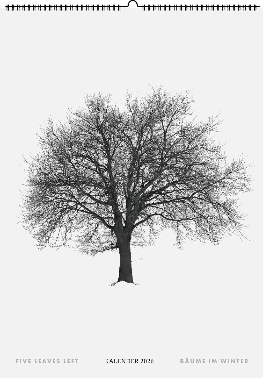 Five Leaves Left. Wandkalender 2026: Bäume im Winter Photography