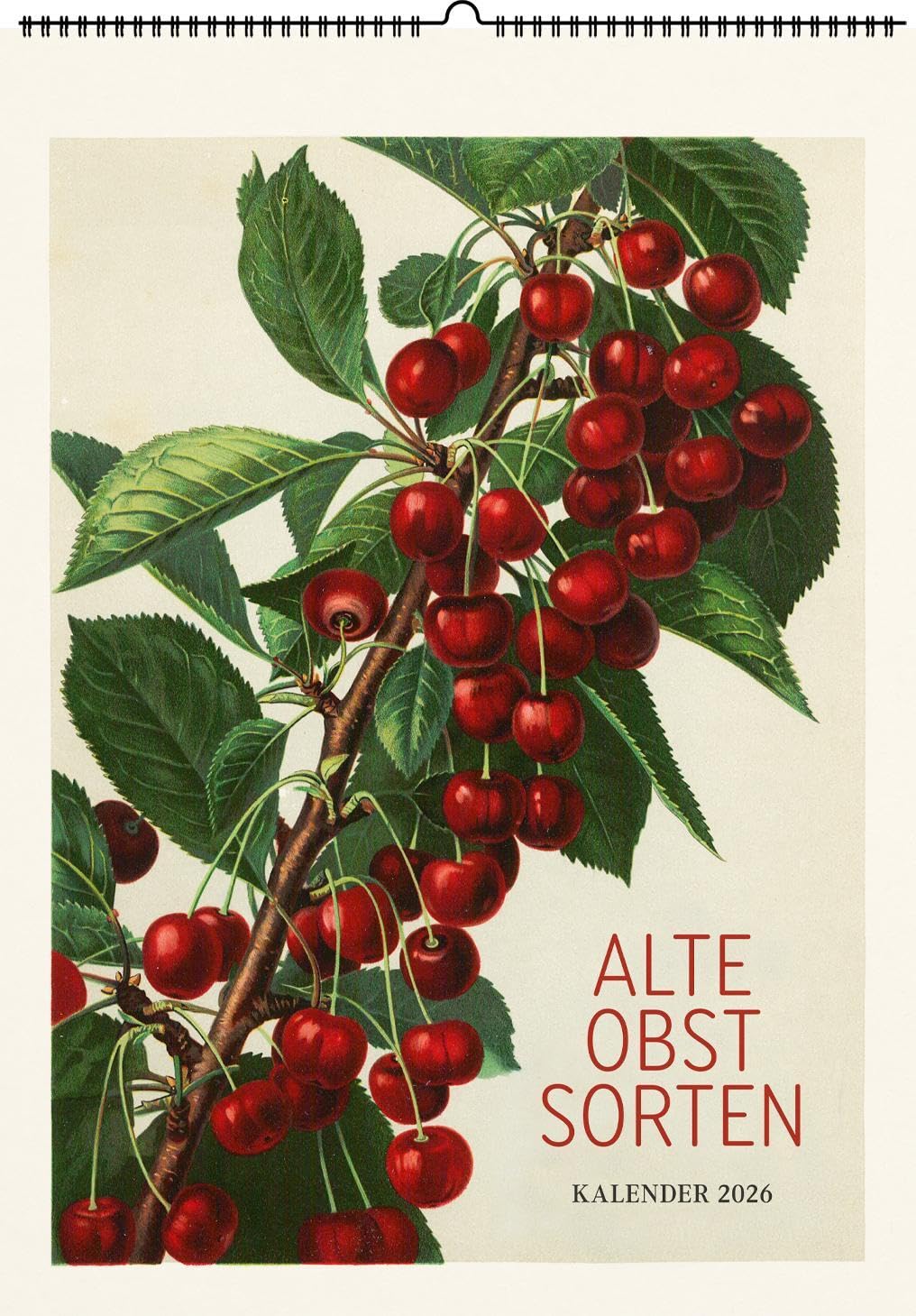 Alte Obstsorten. Wandkalender 2026: Motive aus »Deutschland’s Obstsorten« von Müller/Bissmann/Poenicke Film, Art & Culture