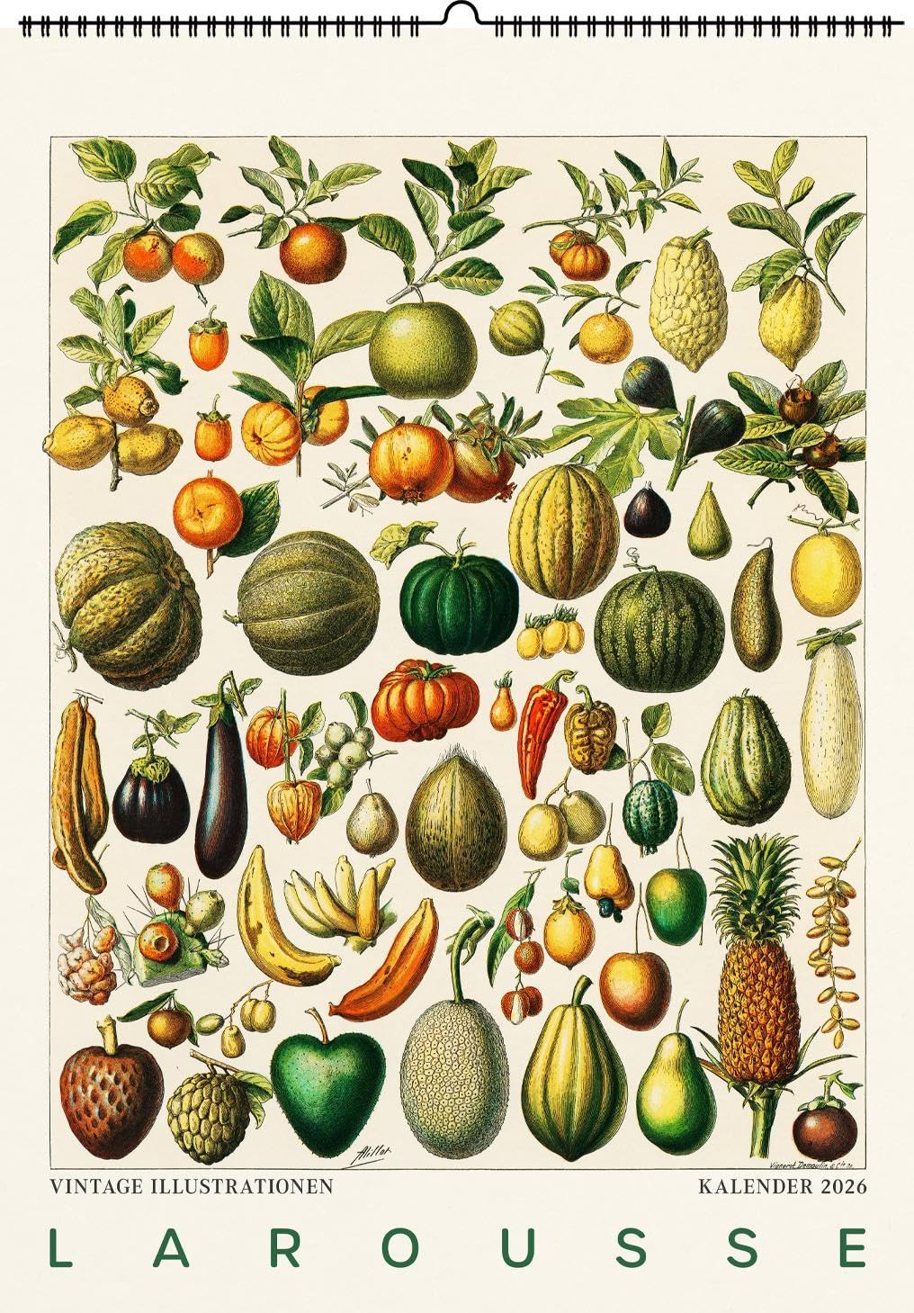Larousse. Wandkalender 2026: Vintage-Illustrationen von Pierre Larousse Film, Art & Culture