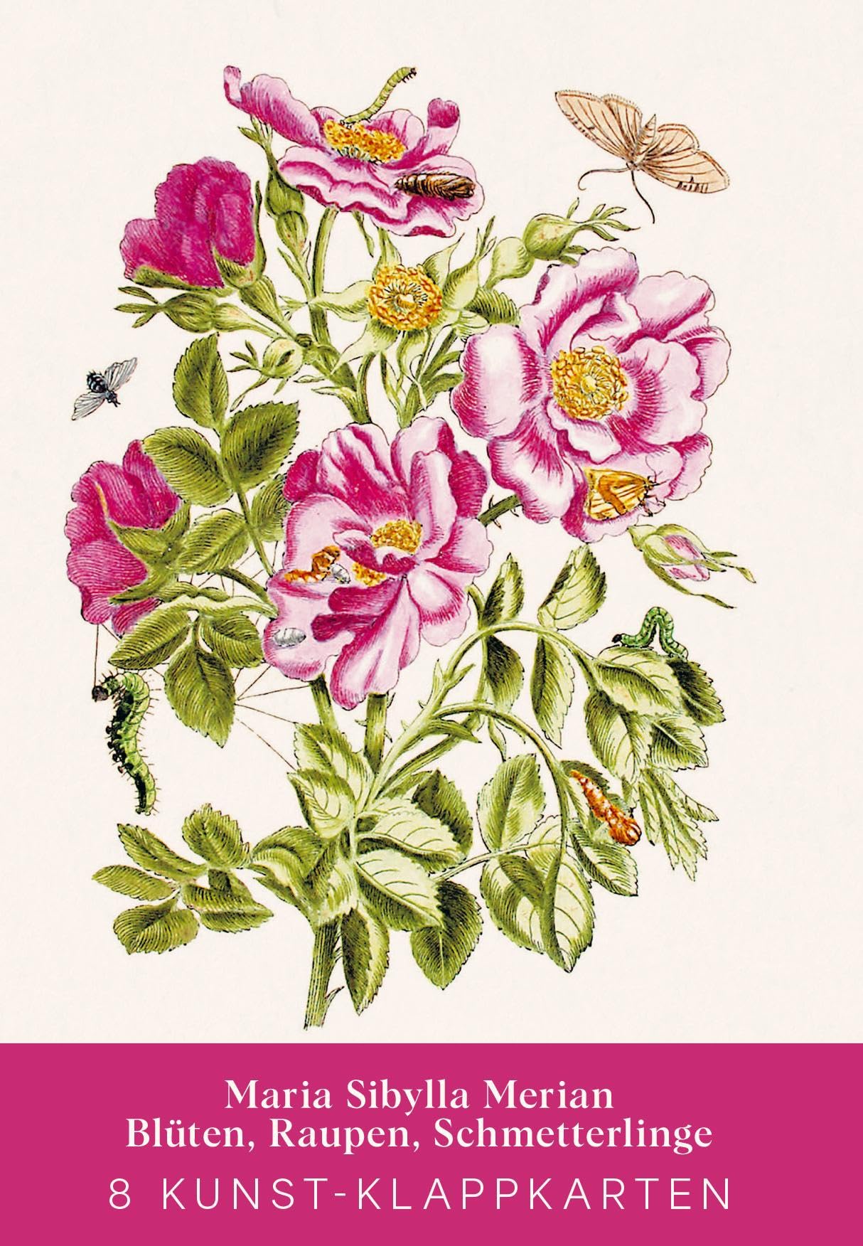 Maria Sibylla Merian - Acht Kunst-Klappkarten Arts & Music