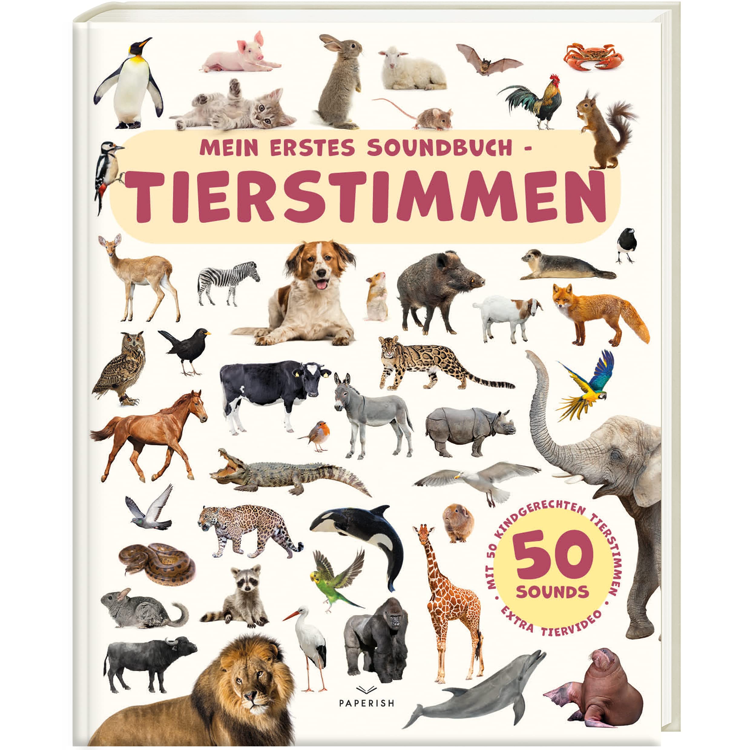 Mein erstes Soundbuch - TIERSTIMMEN Non-fiction