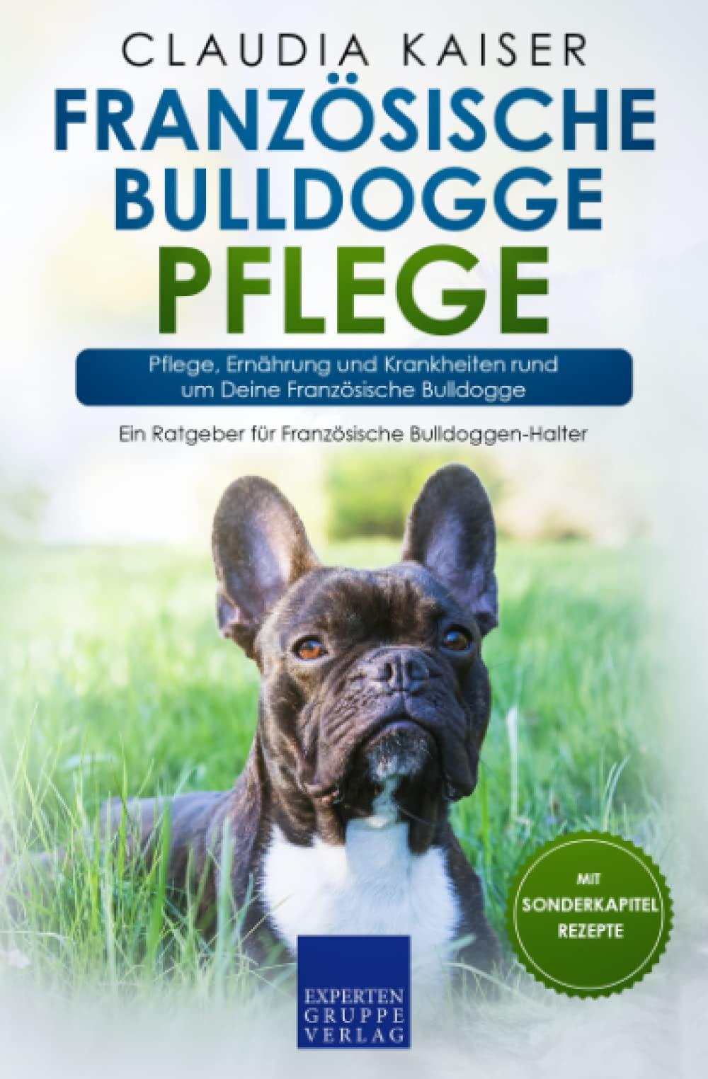 Französische Bulldogge Pflege: Pflege, Ernährung und Krankheiten rund um Deine Französische Bulldogge Pets