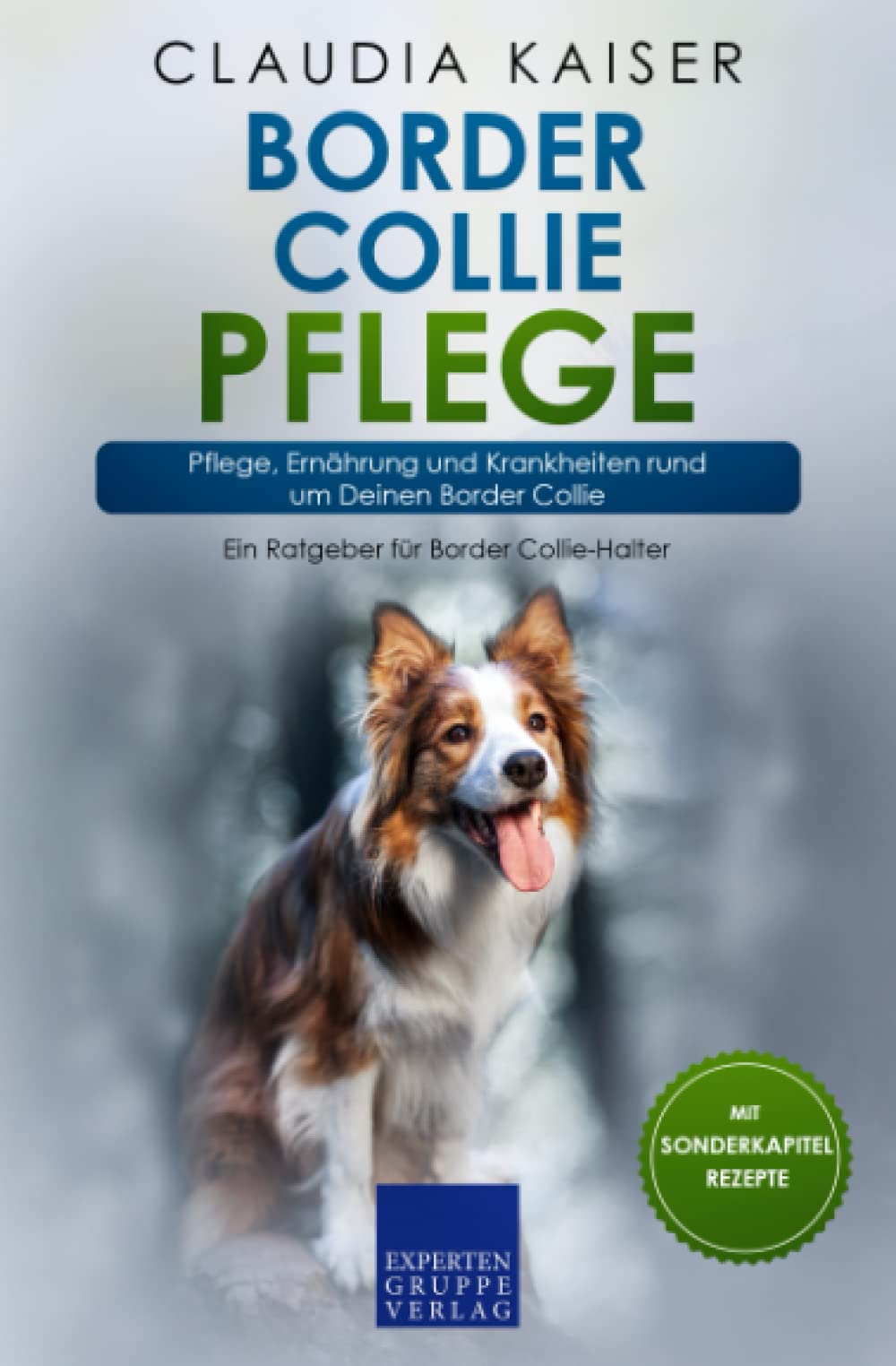 Border Collie Pflege: Pflege, Ernährung und Krankheiten rund um Deinen Border Collie Pets