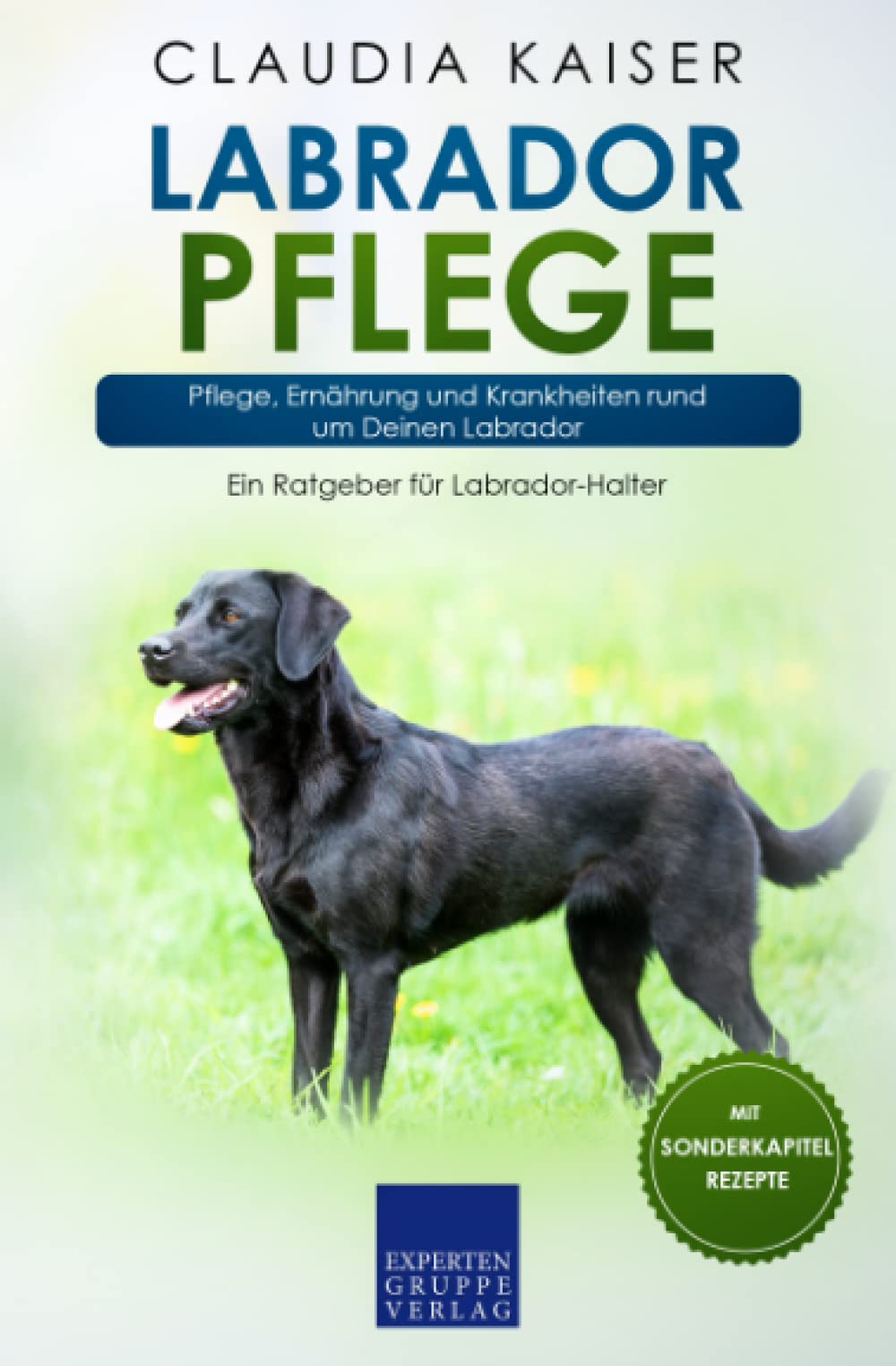 Labrador Pflege: Pflege, Ernährung und Krankheiten rund um Deinen Labrador Pets