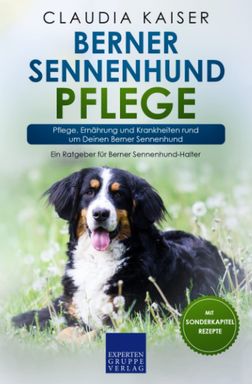 Berner Sennenhund Pflege: Pflege, Ernährung und Krankheiten rund um Deinen Berner Sennenhund Pets
