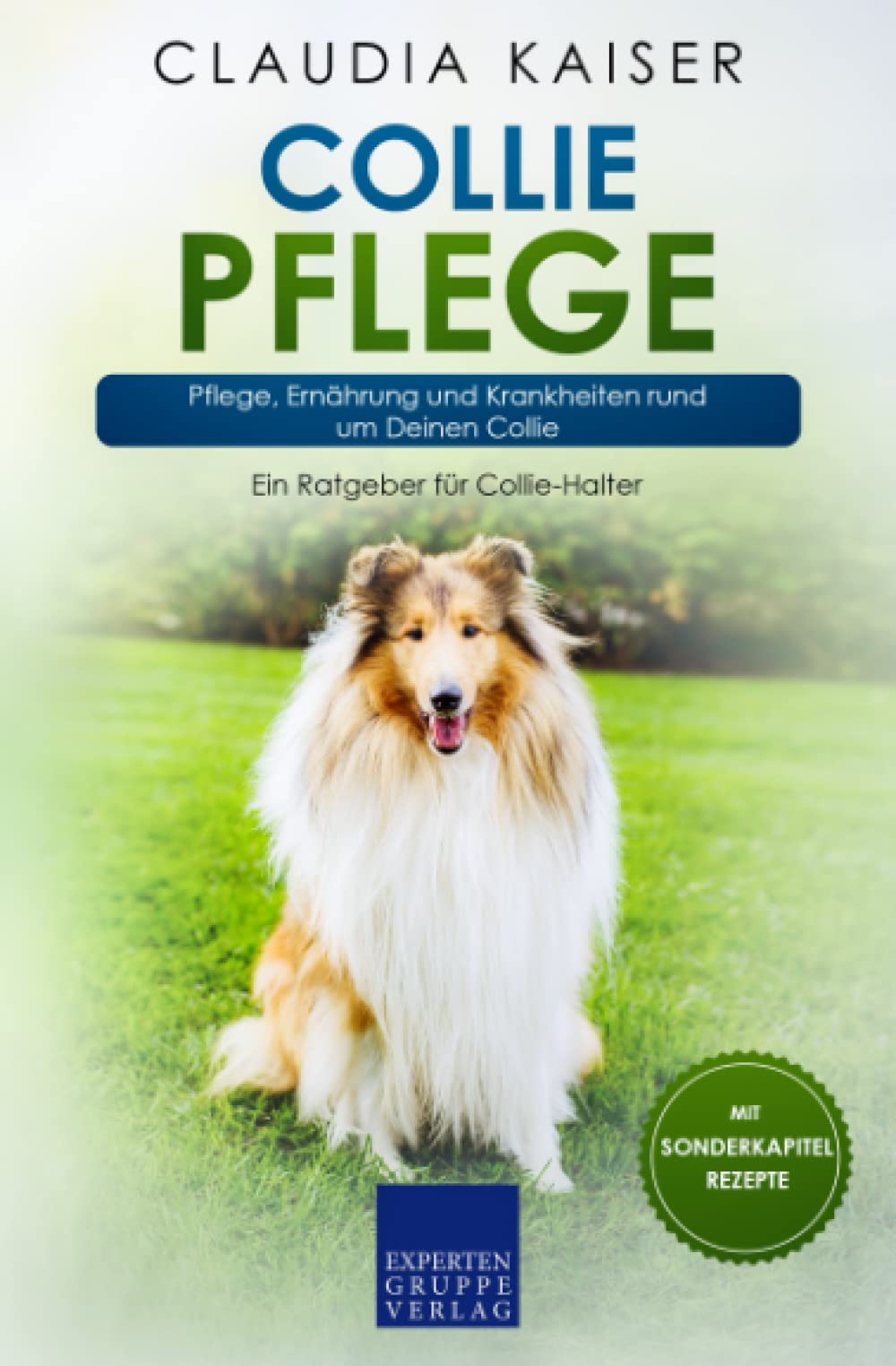 Collie Pflege: Pflege, Ernährung und Krankheiten rund um Deinen Collie Pets