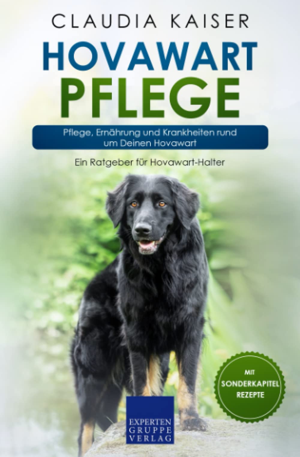 Hovawart Pflege: Pflege, Ernährung und Krankheiten rund um Deinen Hovawart Pets