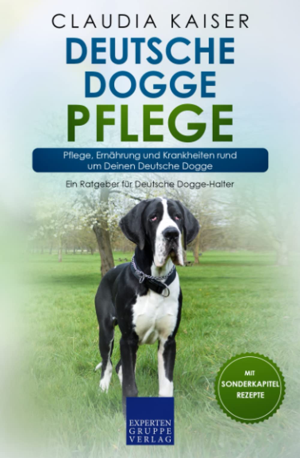 Deutsche Dogge Pflege: Pflege, Ernährung und Krankheiten rund um Deine Deutsche Dogge Pets