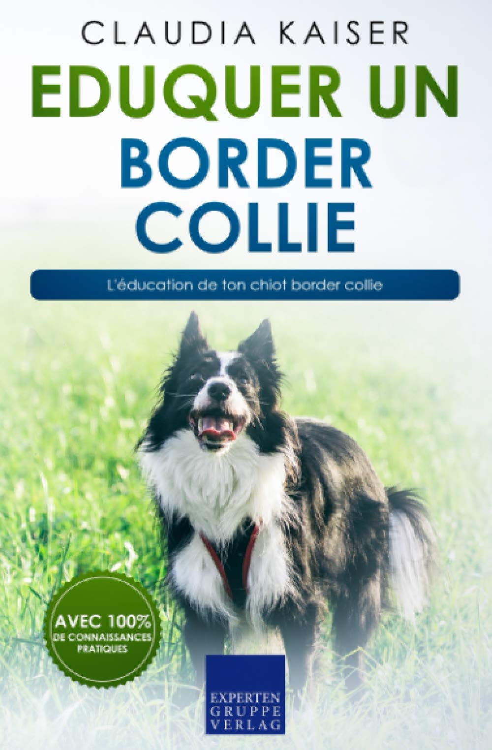 Eduquer un border collie: L'éducation de ton chiot border collie book