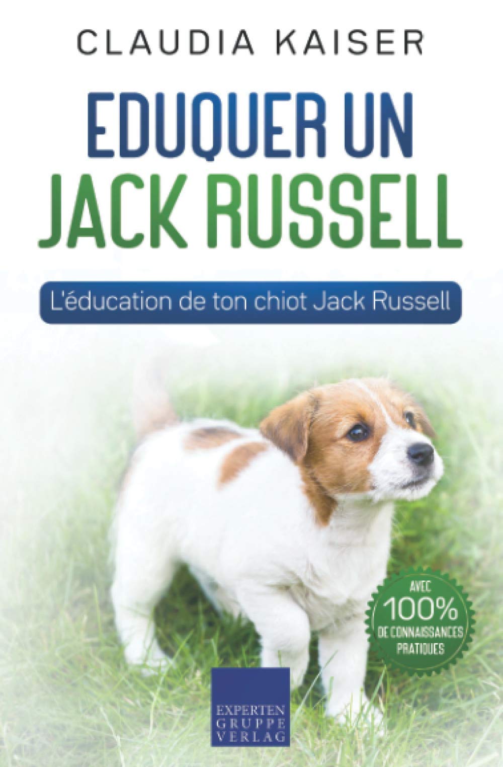 Eduquer un Jack Russell: L'éducation de ton chiot Jack Russell Pets