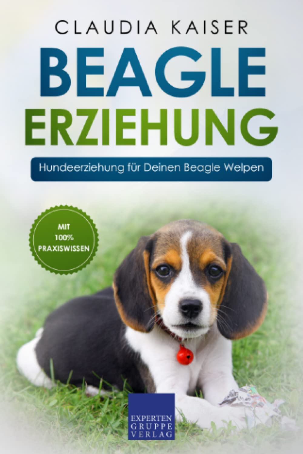 Beagle Erziehung: Hundeerziehung für Deinen Beagle Welpen Pets