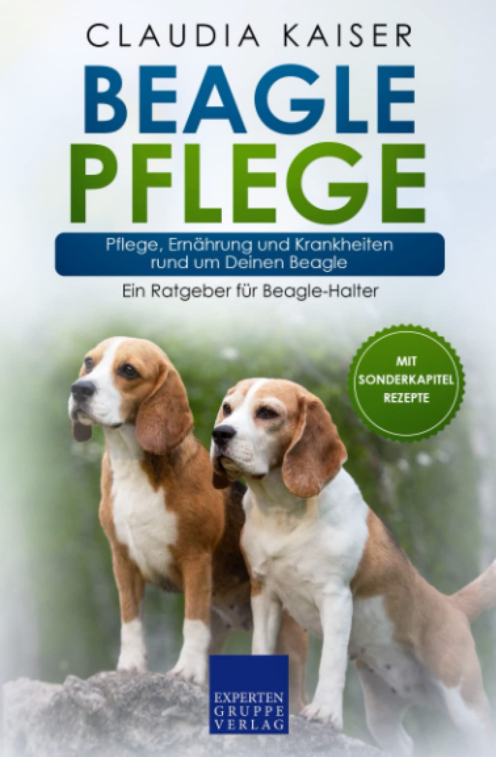 Beagle Pflege: Pflege, Ernährung und Krankheiten rund um Deinen Beagle Pets