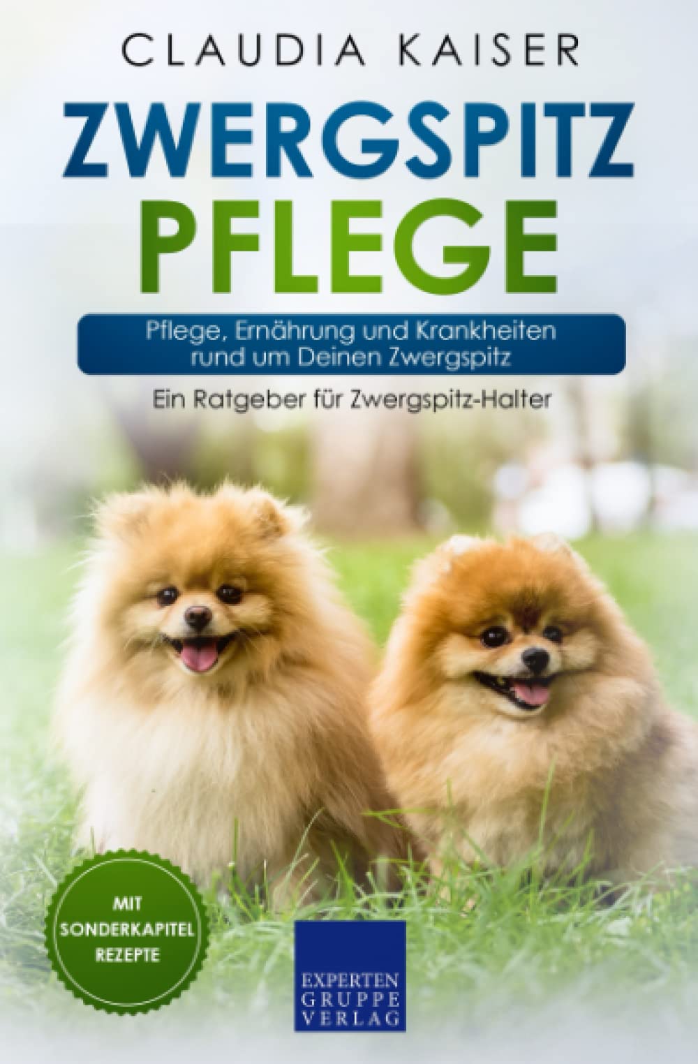 Zwergspitz Pflege: Pflege, Ernährung und Krankheiten rund um Deinen Zwergspitz Pets