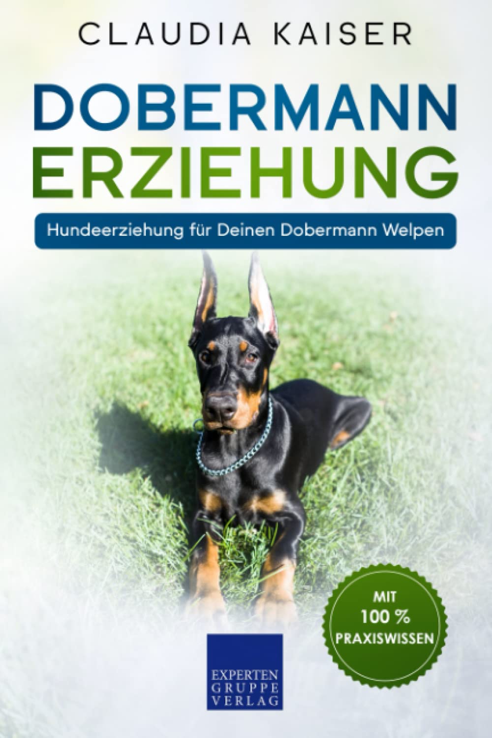 Dobermann Erziehung: Hundeerziehung für Deinen Dobermann Welpen Pets
