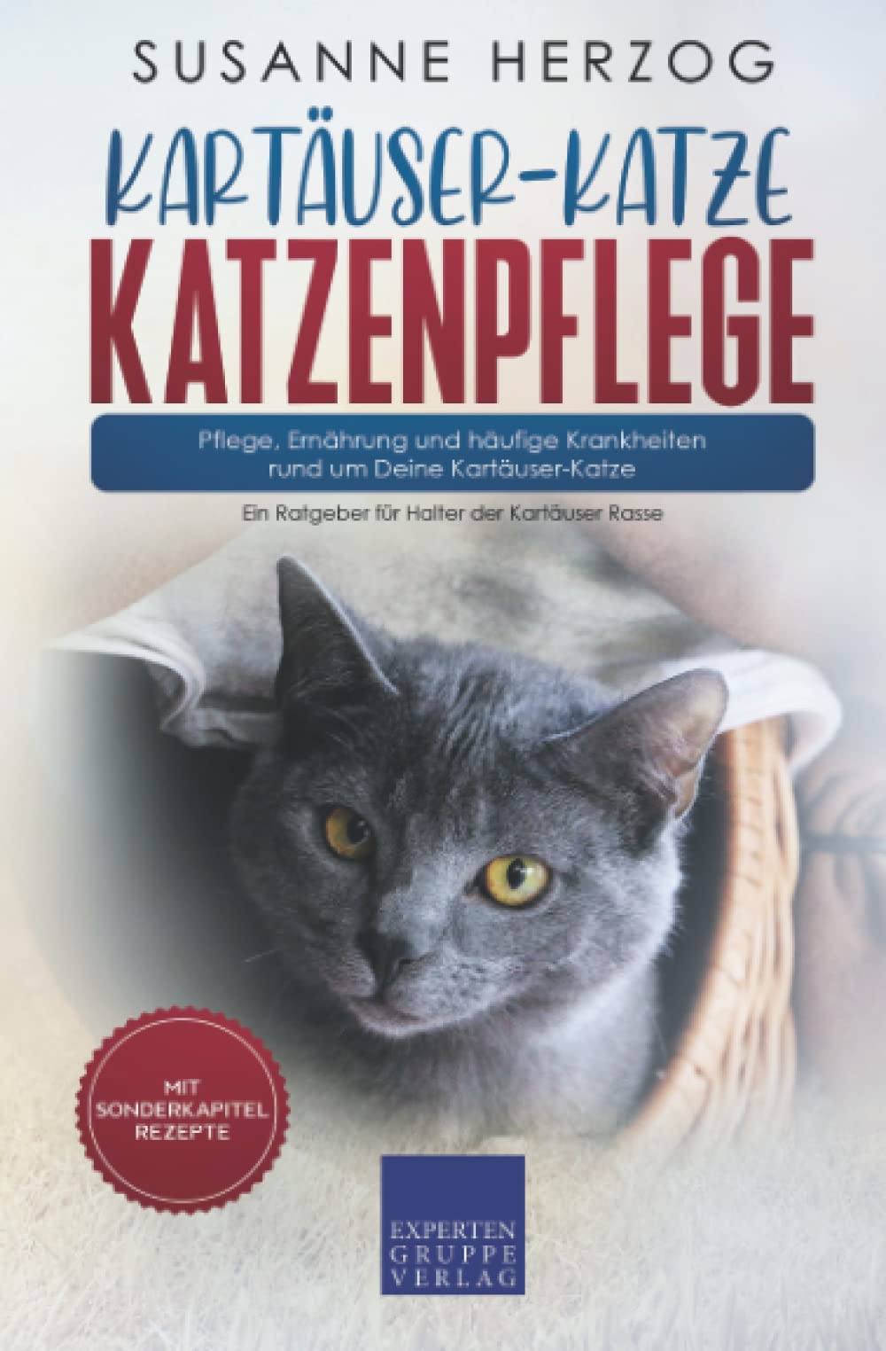 Kartäuser-Katze Katzenpflege – Pflege, Ernährung und häufige Krankheiten rund um Deine Kartäuser-Katze: Ein Ratgeber für Halter der Kartäuser Rasse book