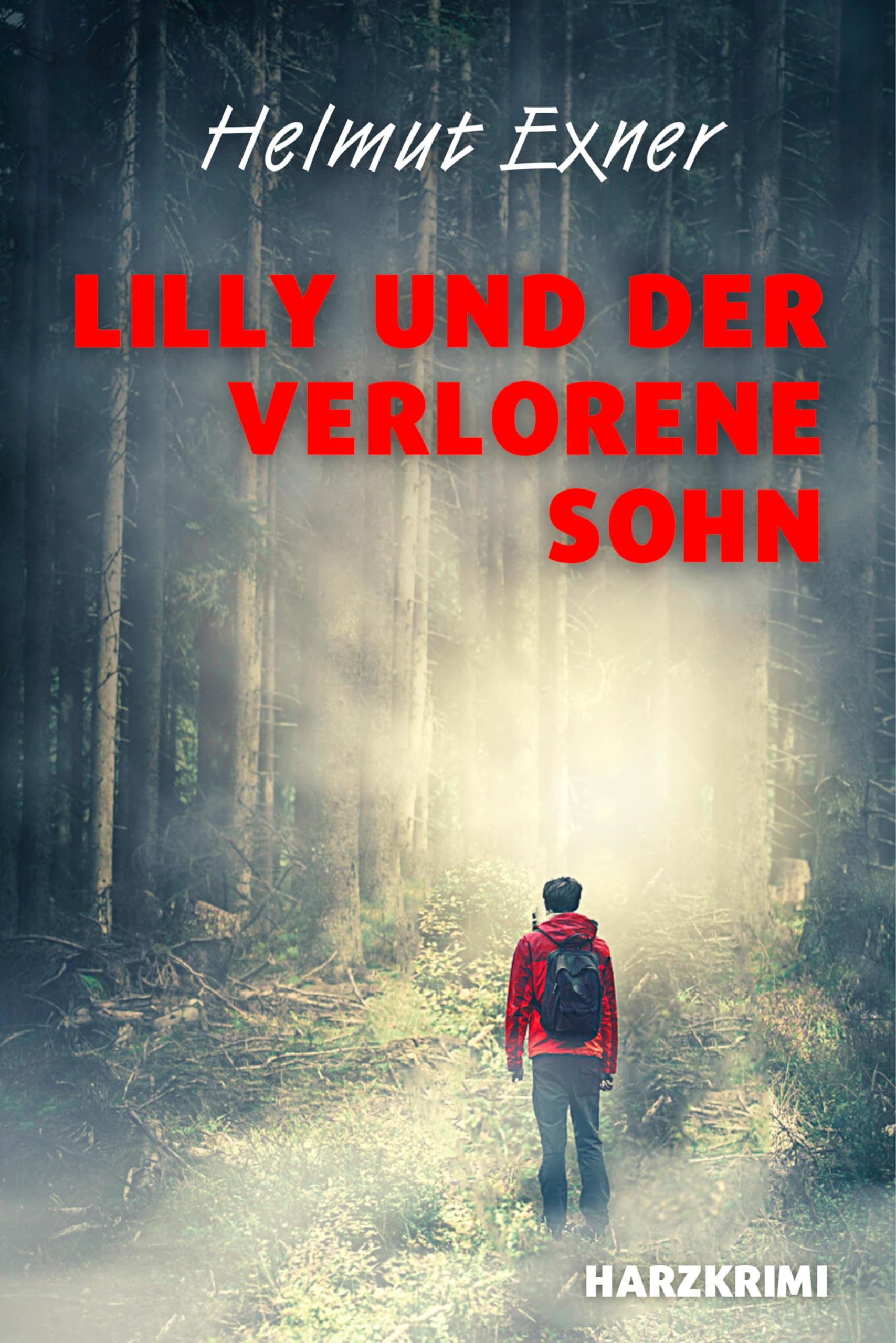 Lilly und der verlorene Sohn Contemporary literature Books