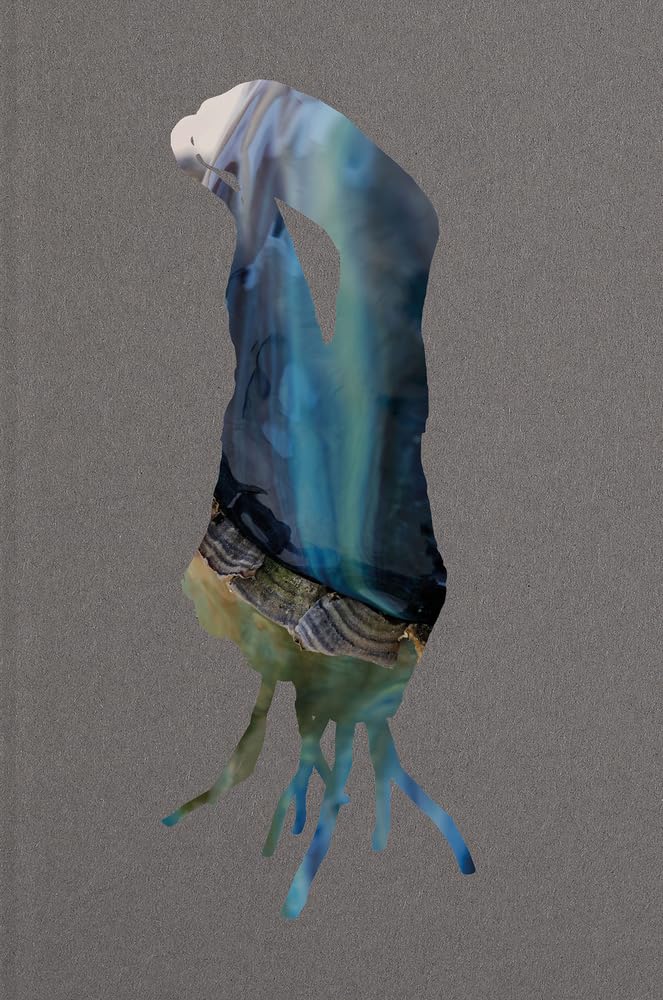 Product Image: Sebastian Stöhrer - Bewohner