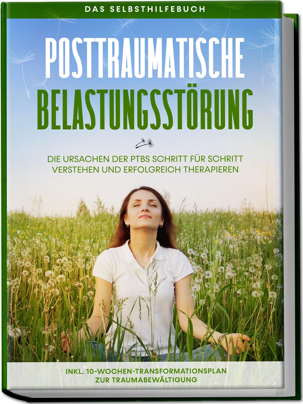 Posttraumatische Belastungsstörung: Das Selbsthilfebuch - Die Ursachen der PTBS Schritt für Schritt verstehen und erfolgreich therapieren - inkl. 10-Wochen-Transformationsplan zur Traumabewältigung Religion & Esotericism