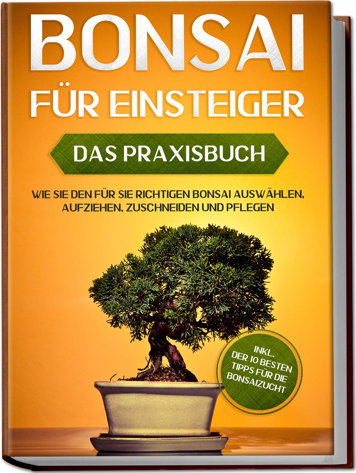 Bonsai für Einsteiger - Das Praxisbuch: Wie Sie den für Sie richtigen Bonsai auswählen, aufziehen, zuschneiden und pflegen - inkl. der 10 besten Tipps für die Bonsaizucht Garden & Plants