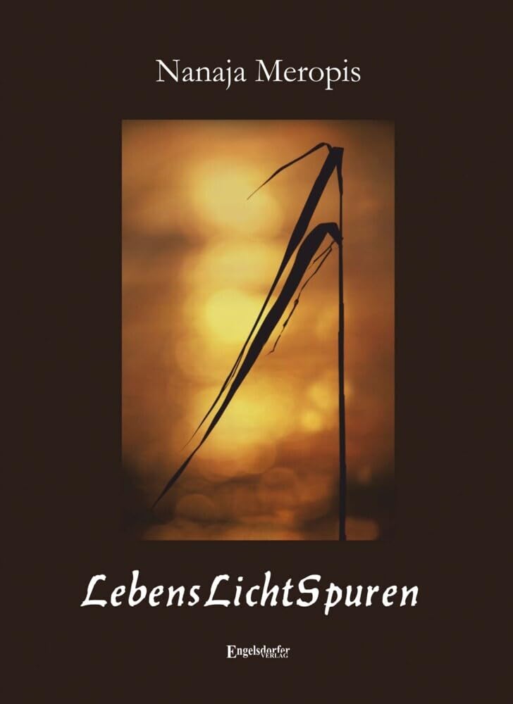 LebensLichtSpuren Contemporary literature Books