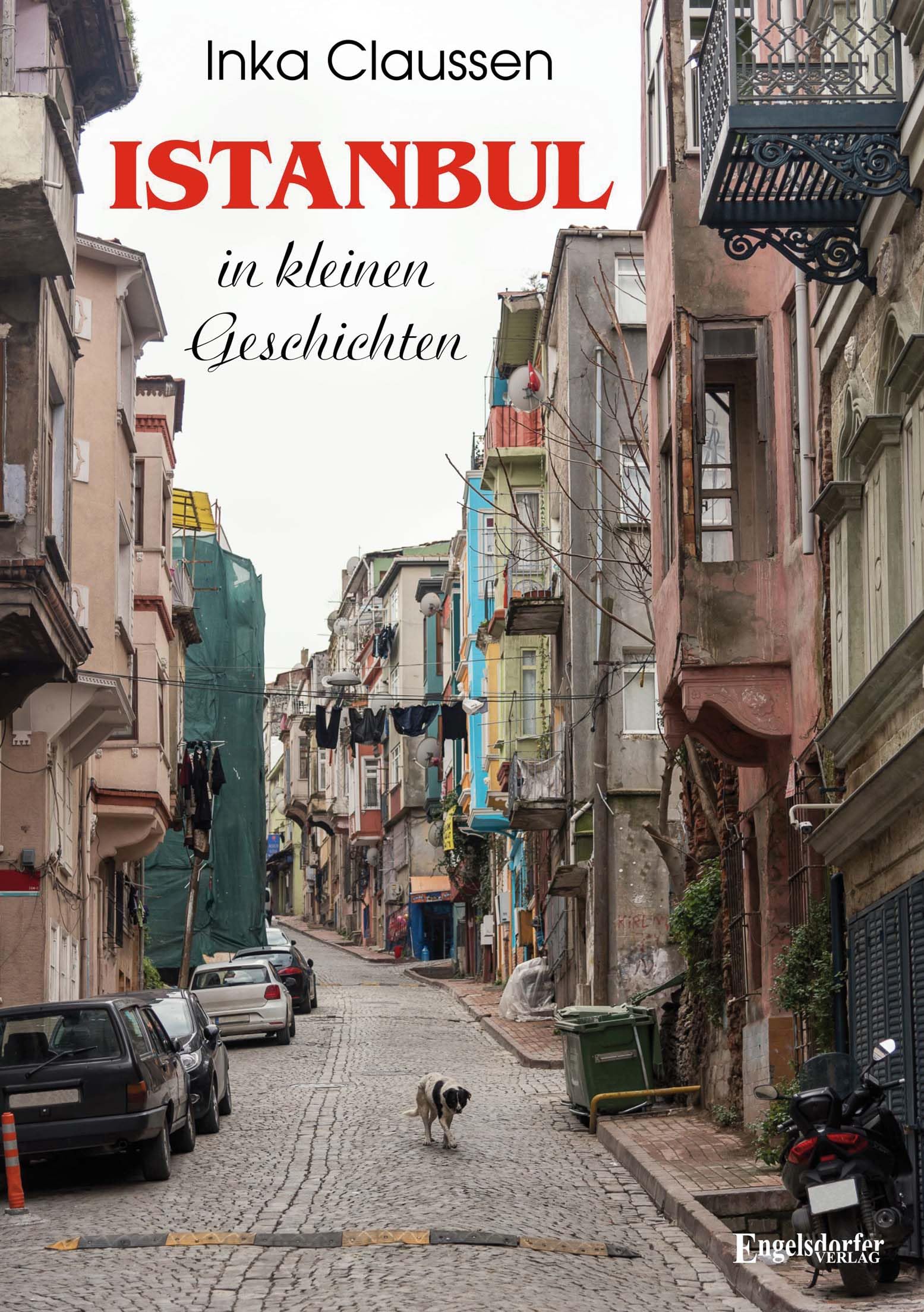 Istanbul in kleinen Geschichten Contemporary literature