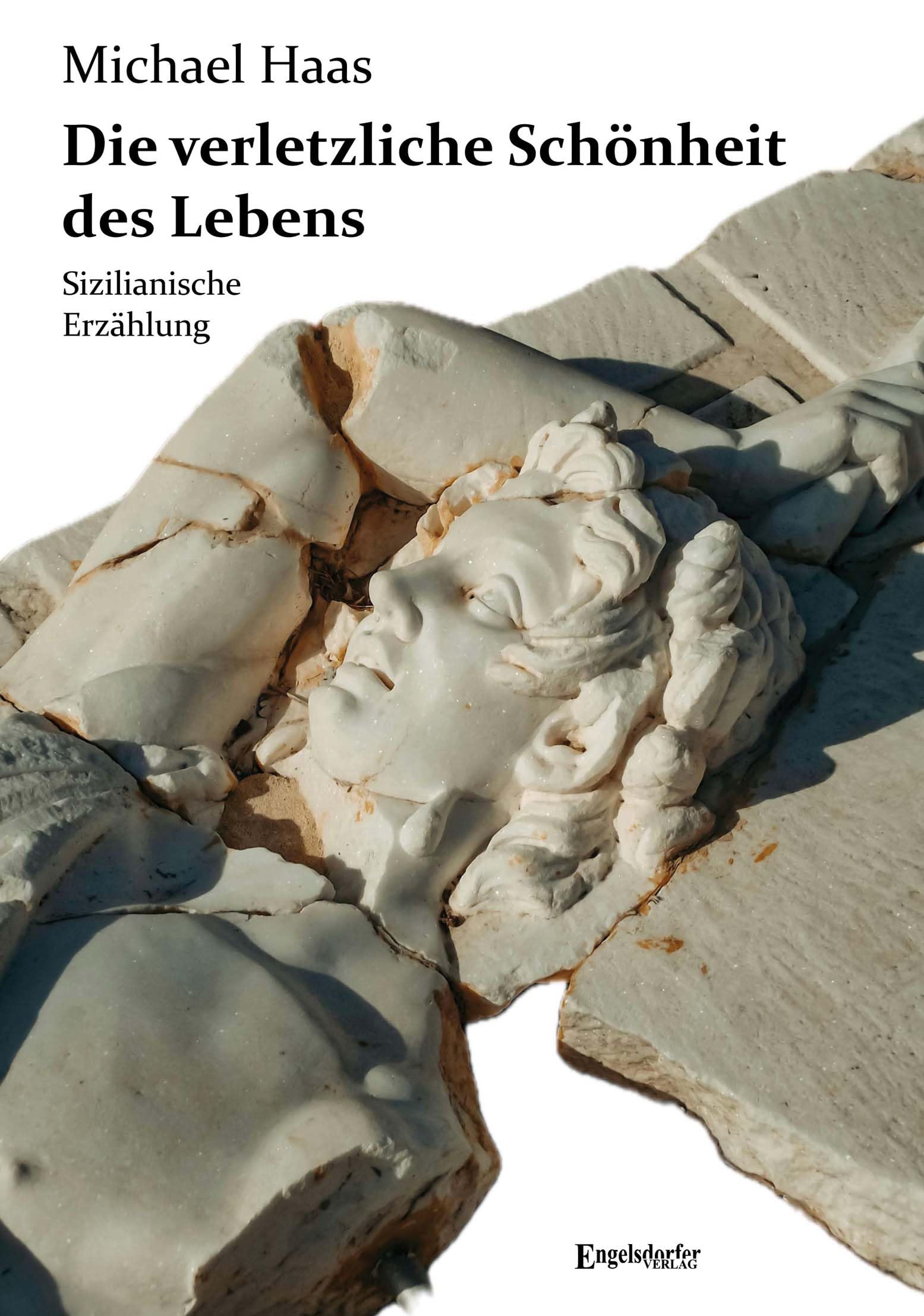 Die verletzliche Schönheit des Lebens Contemporary literature