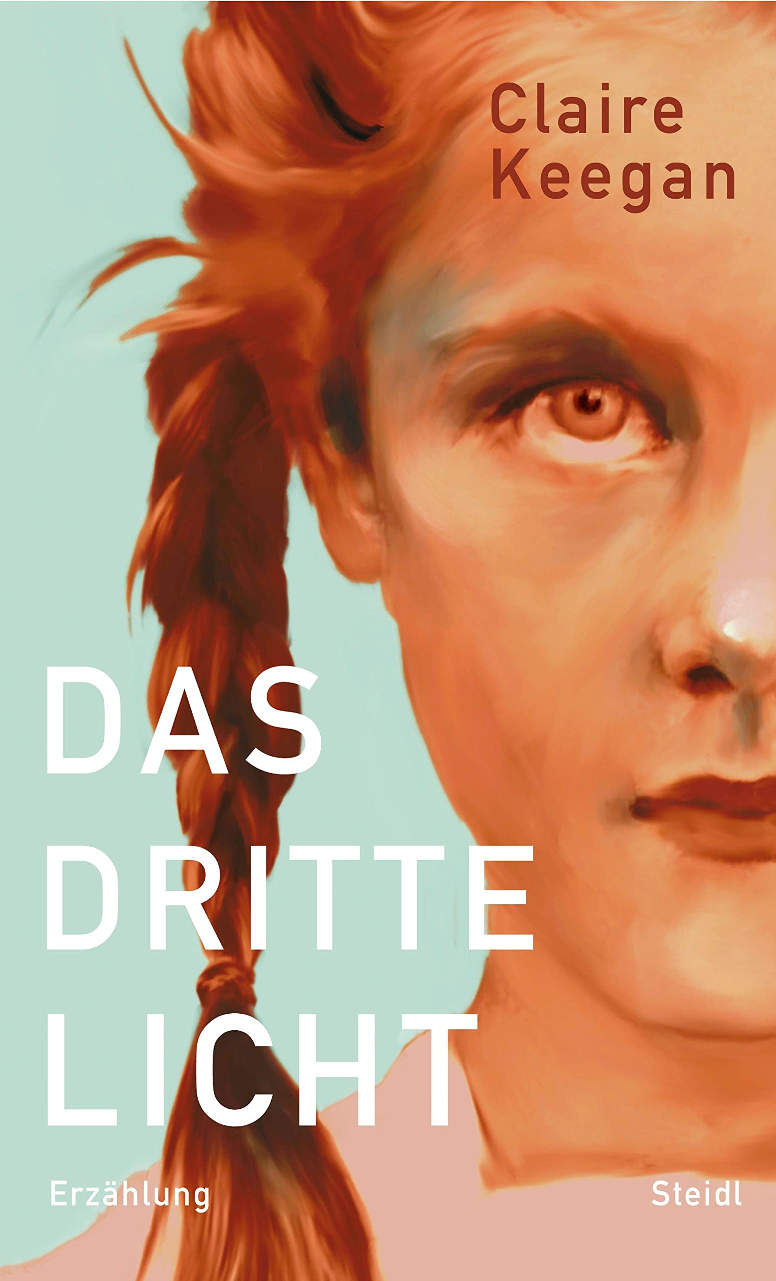 Das dritte Licht Contemporary literature Books