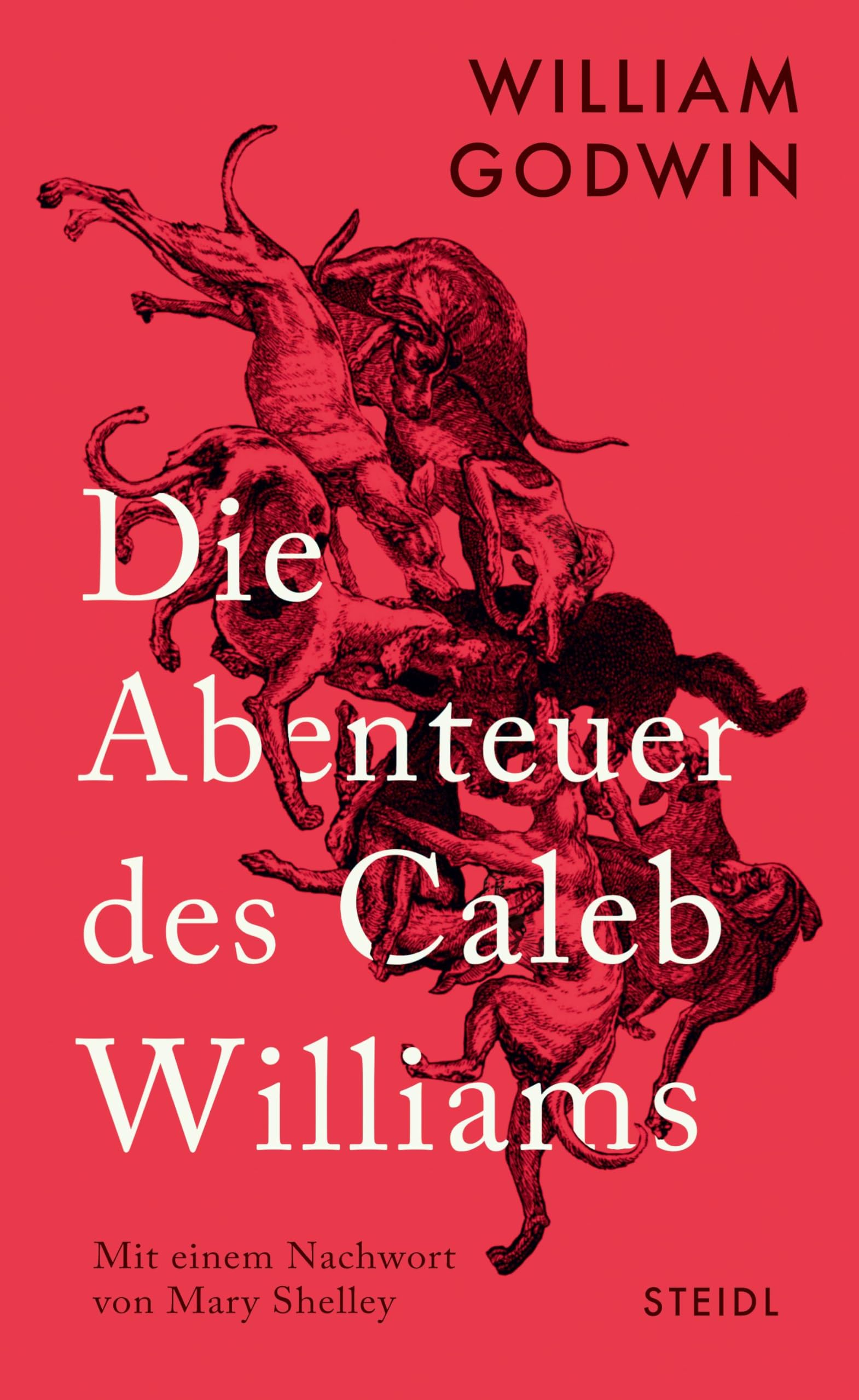 Product Image: Die Abenteuer des Caleb Williams