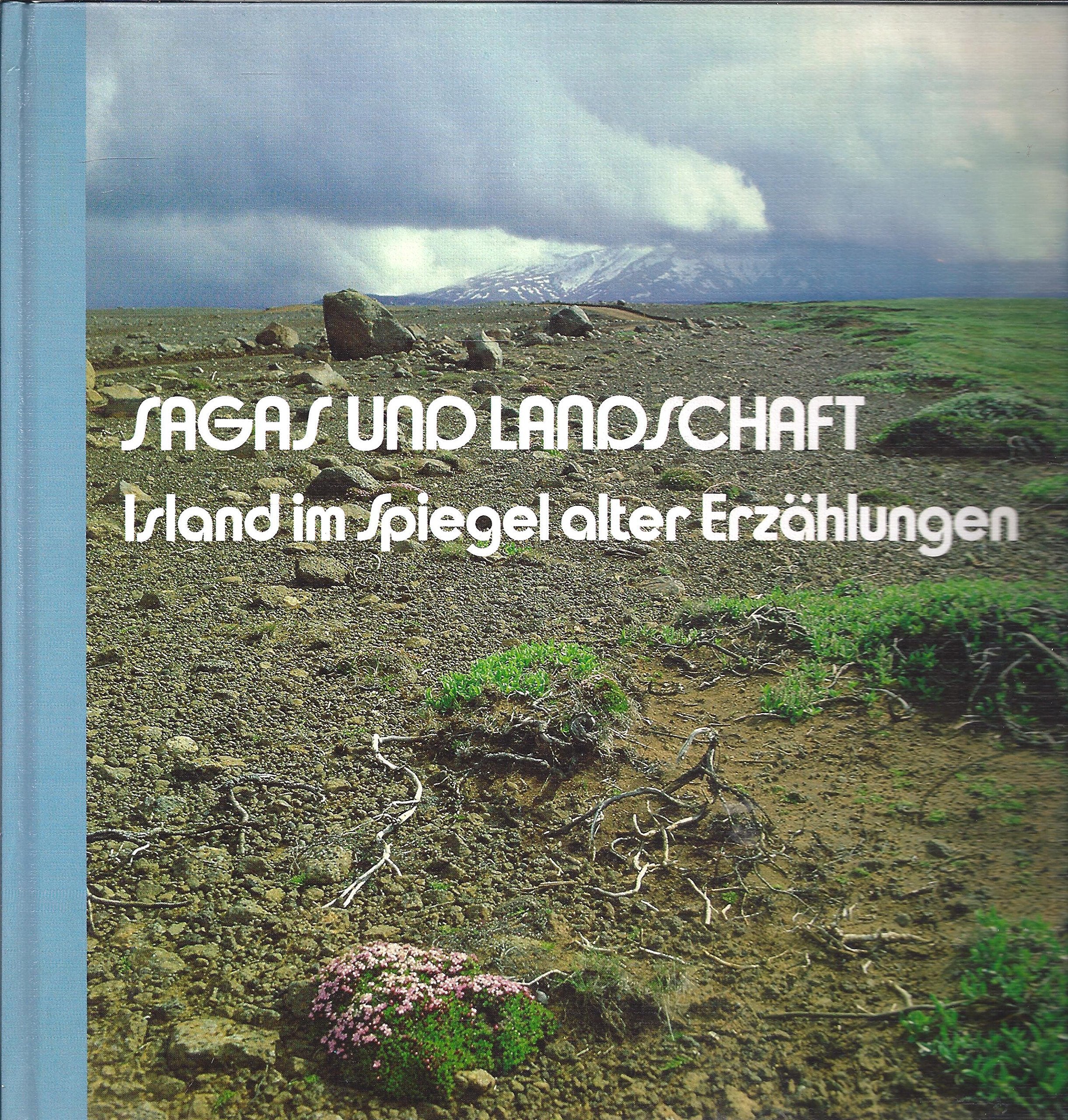 Sagas und Landschaft. Island im Spiegel alter Erzählungen Politics & History