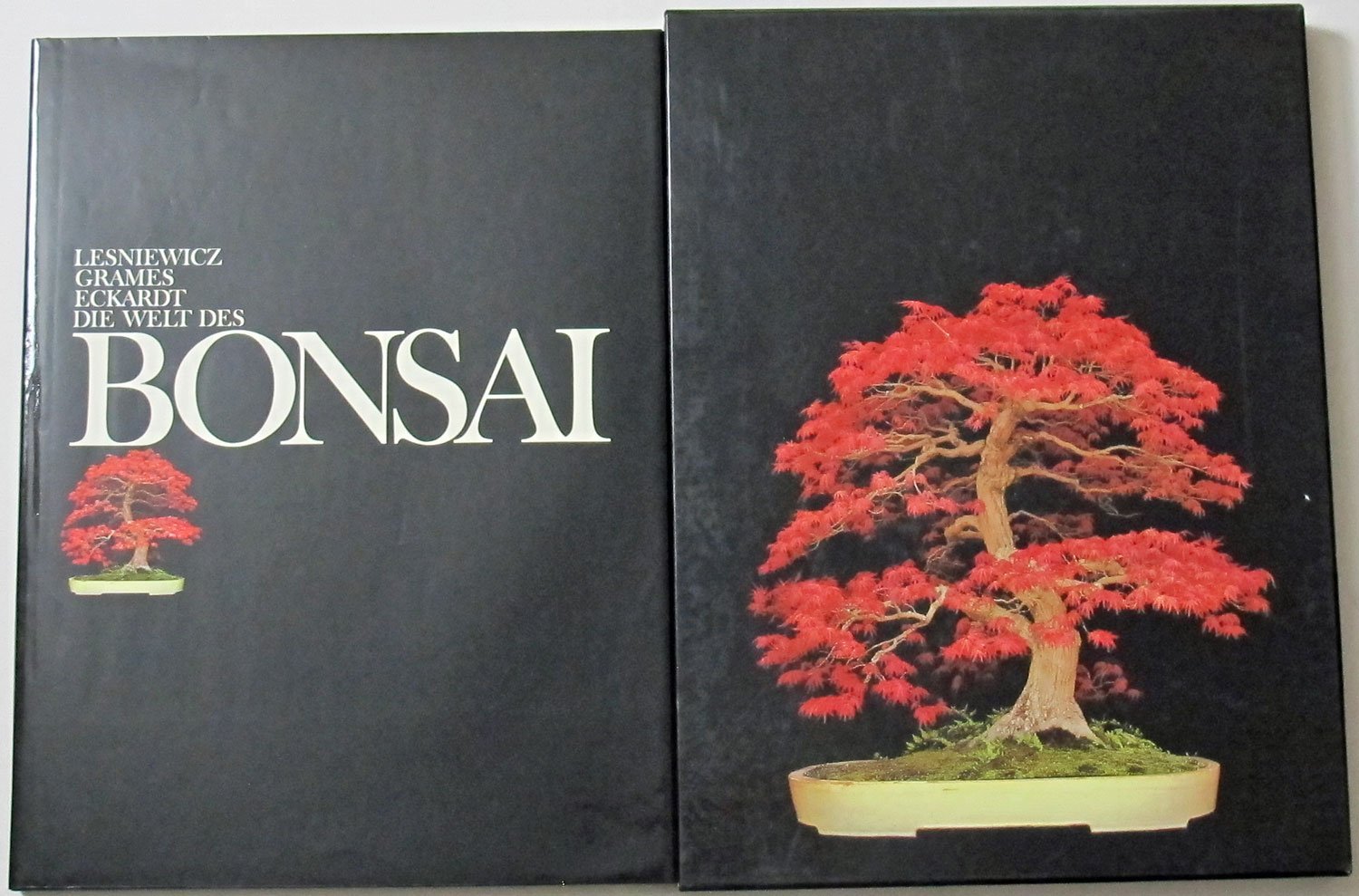 Die Welt des Bonsai Natural Sciences Books