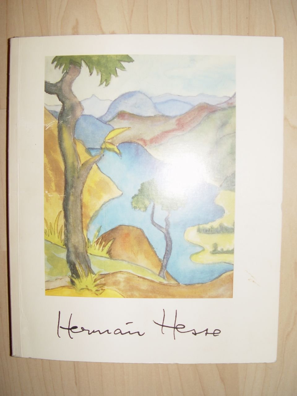 Hermann Hesse 1877 - 1962: Aquarelle und Zeichnungen - Ausstellung vom 16.November 1986 - 11.Januar 1987 - Hermann Hesse book