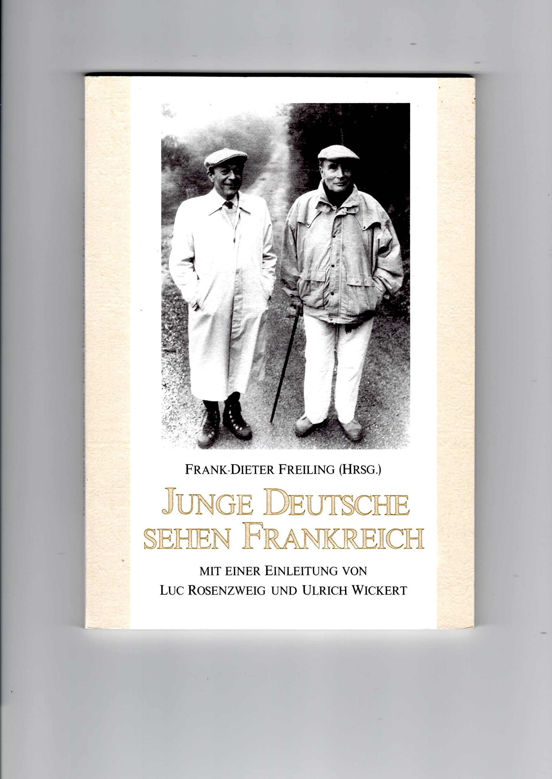 Junge Deutsche sehen Frankreich: Eine Bestandsaufnahme Books