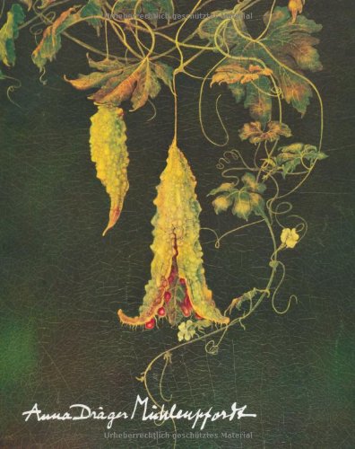 Anna Dräger-Mühlenpfordt. Gemälde, Zeichnungen Druckgraphik 1908-1980 Film, Art & Culture