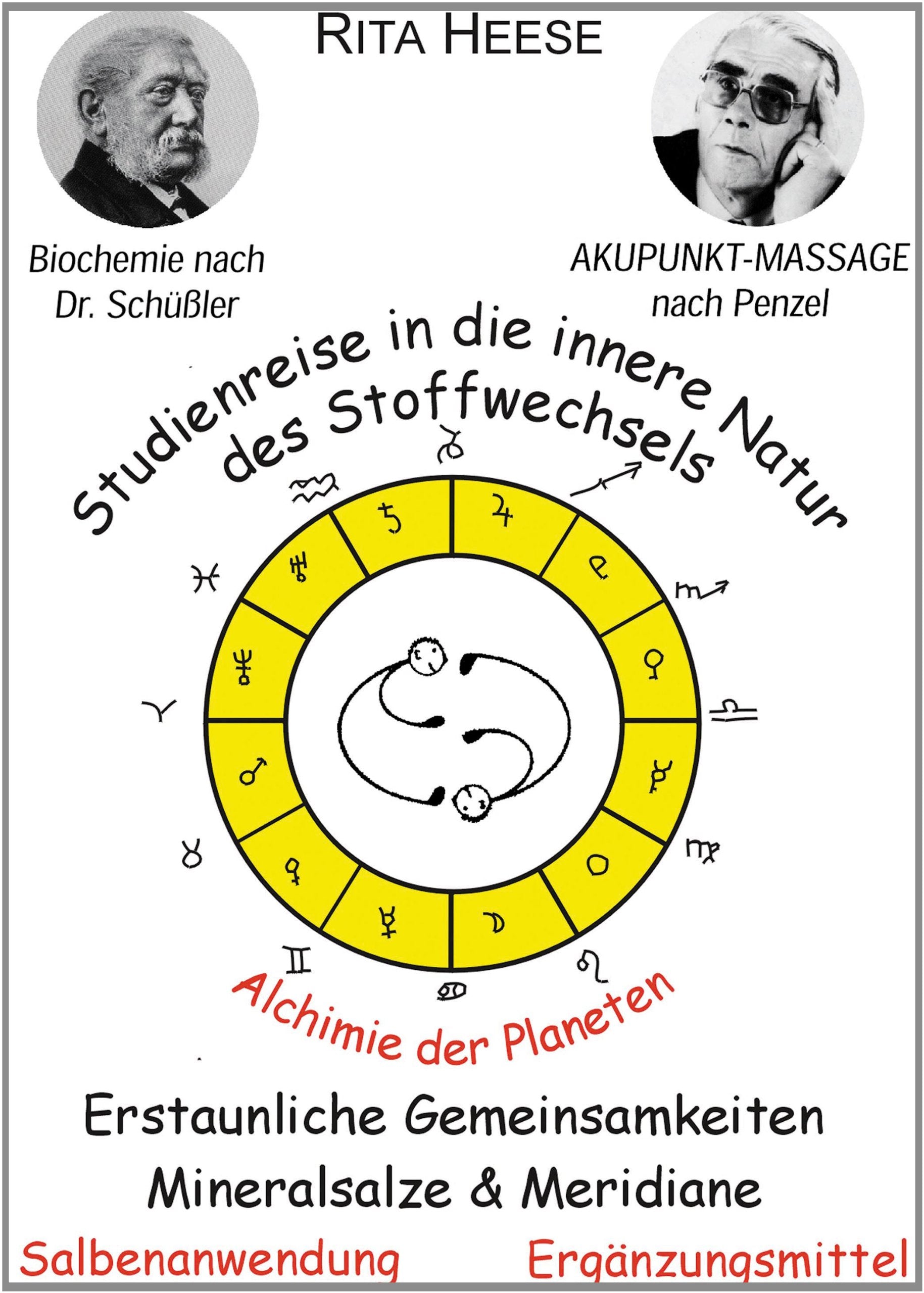 Biochemie nach Dr. med. Wilhelm Heinrich Schüssler. Studienreise in die innere Natur des Stoffwechsels Salbenanwendung, Ergänzungsmittel Medicine