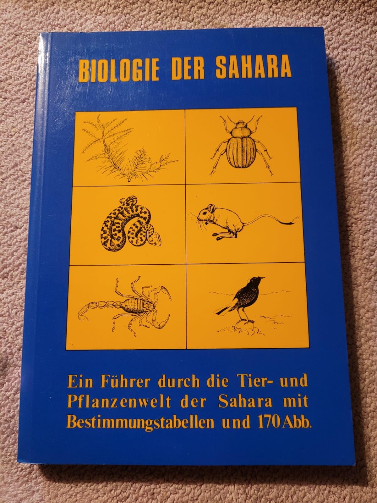 Biologie der Sahara. Ein Führer durch die Tier- und Pflanzenwelt der Sahara Leisure, Home & Garden