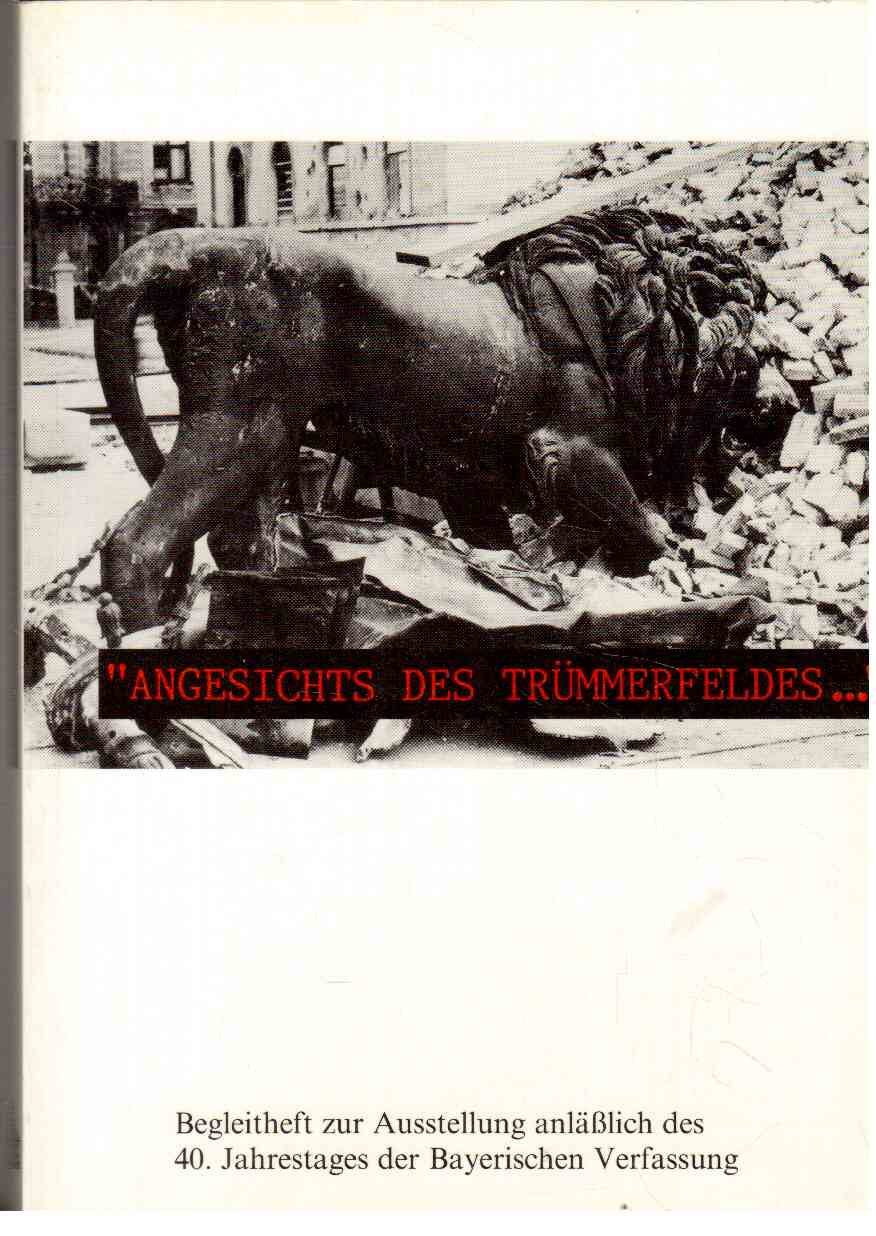 Angesichts des Trümmerfeldes.: Begleitheft zur Ausstellung anlässlich des 40. Jahrestages der Ba book