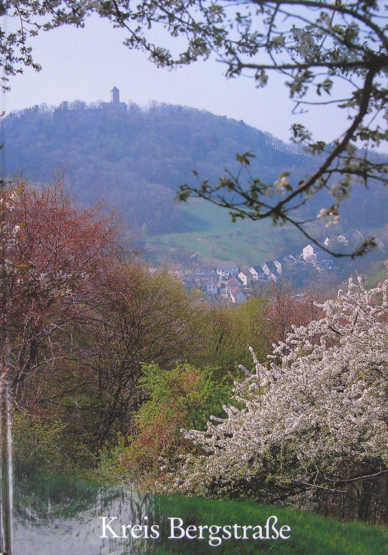 Kreis Bergstrasse. Geschichte, Wirtschaft und Kultur in zwölf Jahrhunderten Politics & History