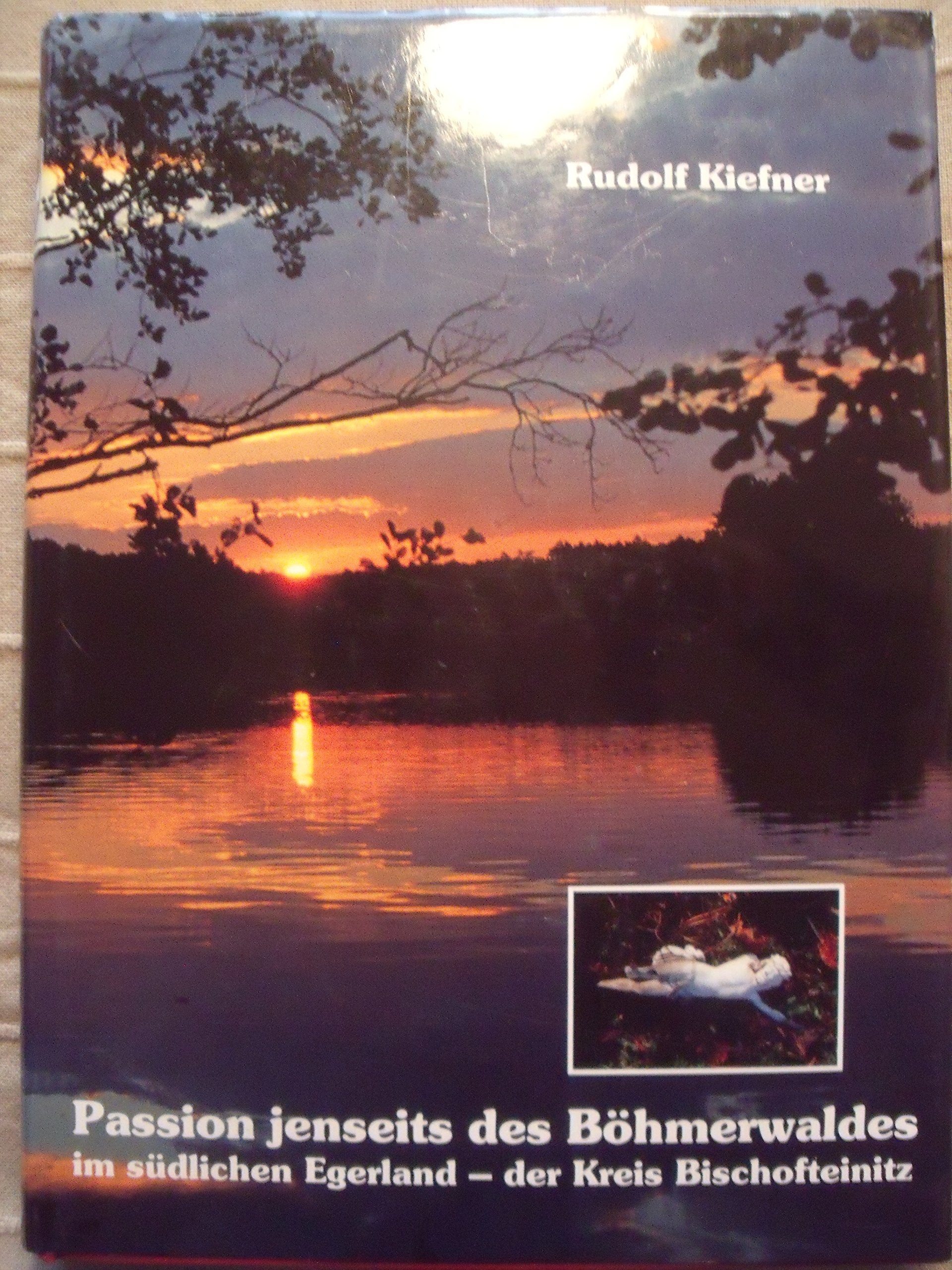 Passion jenseits des Böhmerwald, der Kreis Bischofteinitz: Der Leidensweg einer Landschaft 40 Jahre nach der Vertreibung der Sudetendeutschen 1946 - Kiefner, Rudolf book