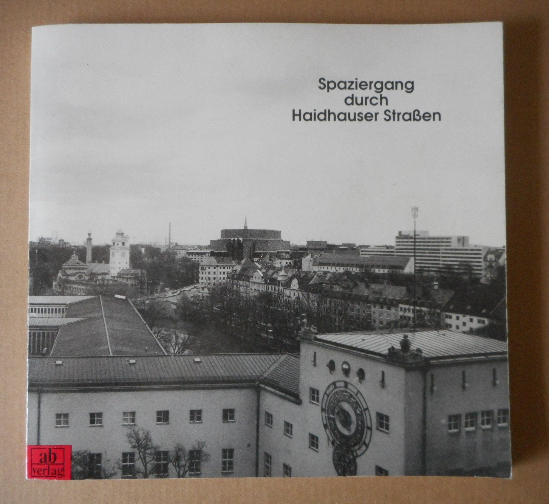 Spaziergang durch Haidhauser Strassen: Haidhauser Strassennamen Books