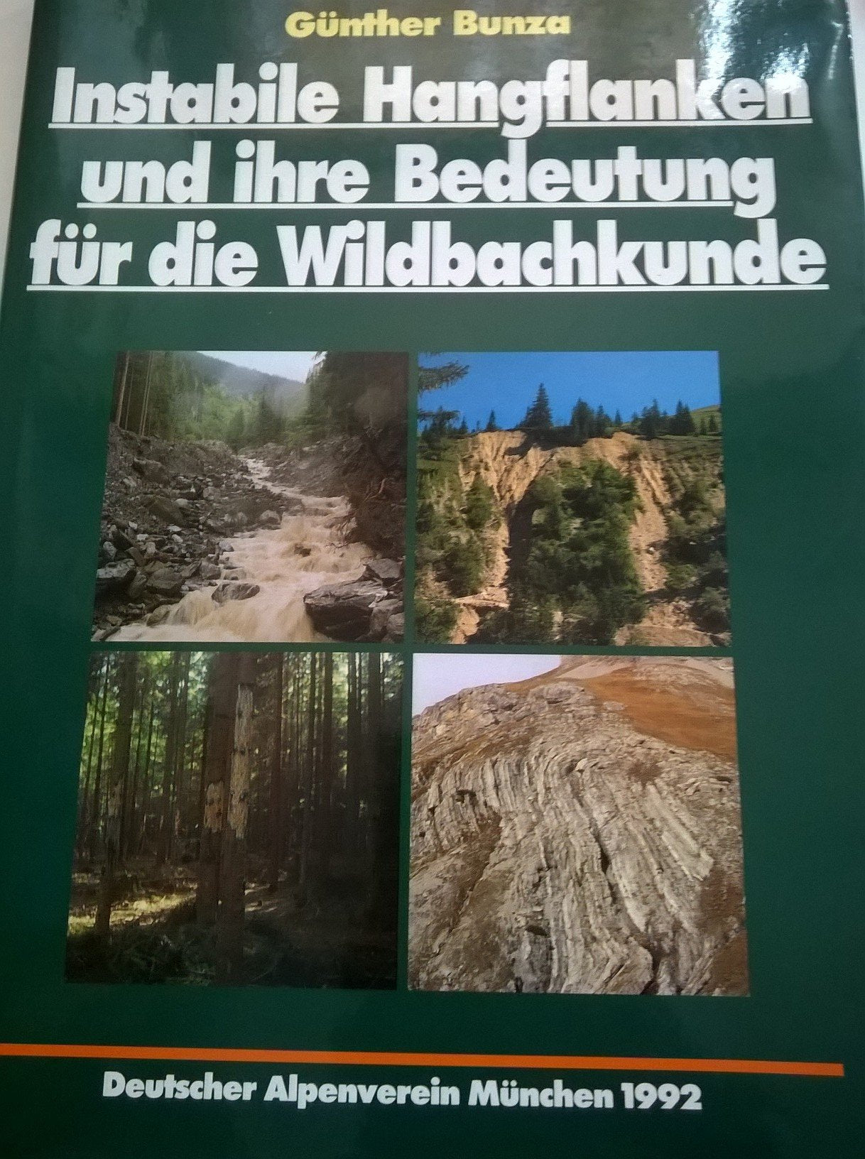 Instabile Hangflanken und ihre Bedeutung für die Wildbachkunde Business & Technology